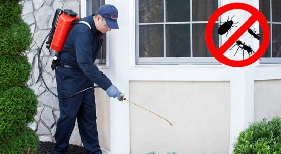 Kula Böcek İlaçlama böcek ilaçlama ve haşere kontrolü — ilaclama-tr.com